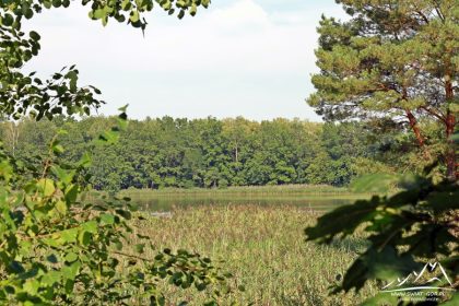 Widok z wieży na staw Zofia.