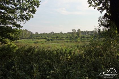 Jeden ze w okolicach Lipna.