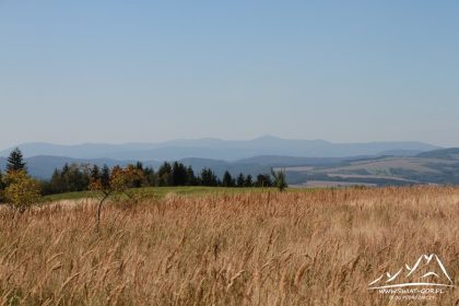 Widok na Karkonosze.