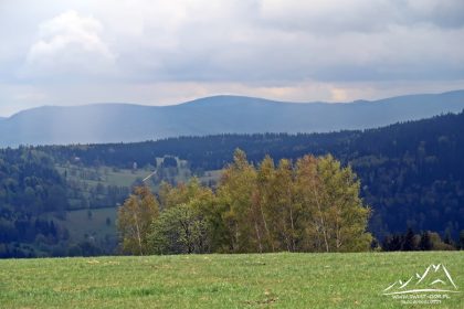 Góry Bialskie i widoczna Czernica (1083 m.n.p.m.)
