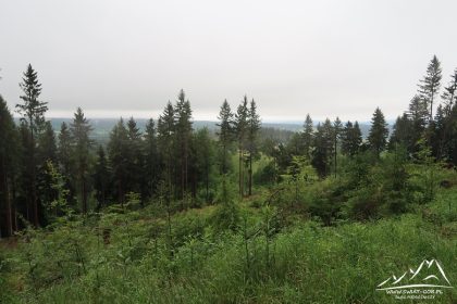 Pojawiają się nieco ograniczone widoki.