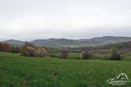 Panorama na Góry Złote i rejon Ptasznika.