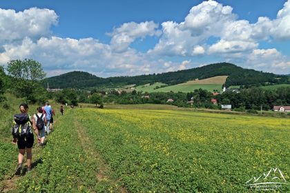 Widok na Wzgórza Rogówki - z prawej Sarnica.
